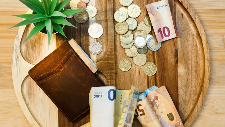 Helles Holztablett mit braunem Portemonnaie, Euro-Scheinen und Münzen bei natürlichem Tageslicht